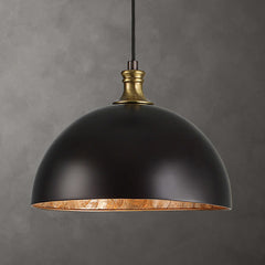 Placuna 1-light Pendant Light