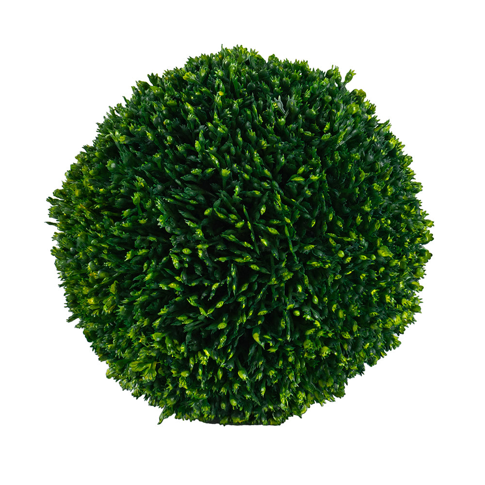 Boxwood Moss Ball