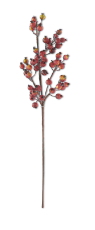 32"L CRAB APPLE STEM