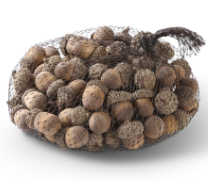 BAG OF 75 WOOD ACORNS