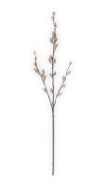 33" Tan Pussy Willow Stem