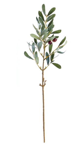 OLIVE STEM W/ OLIVES