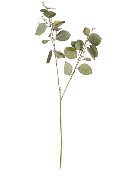 32" SILVER DOLLAR EUCALYPTUS BRANCH