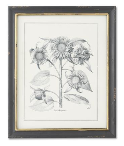 Assorted Sunflower & Artichoke Prints