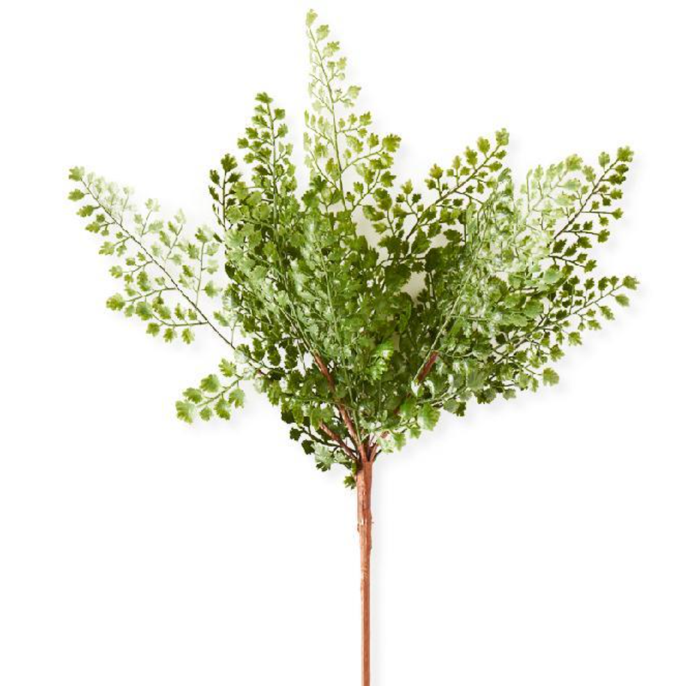 16in Maidenhair Fern Spray Stem