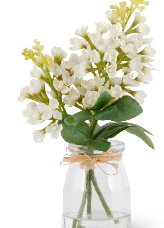 9.25in White Lilac in Glass Vase