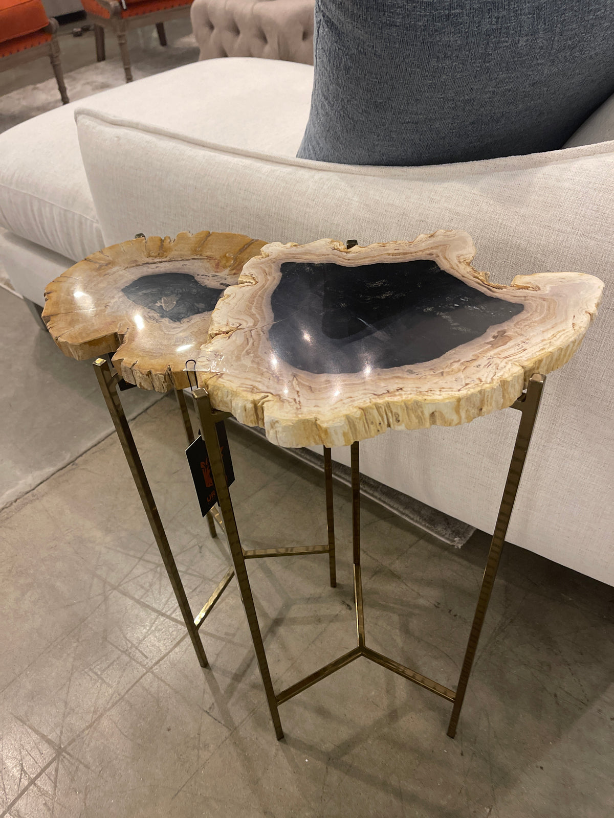 Petrified Wood Stone Side Table