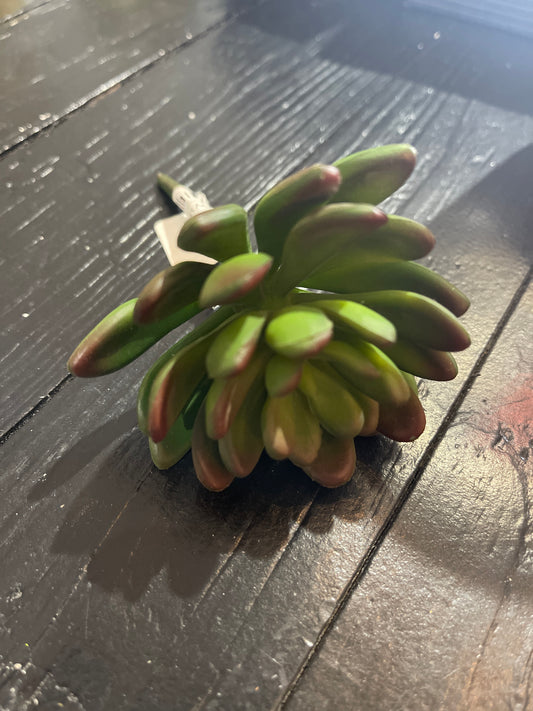 GREEN RED LUMPY LEAF